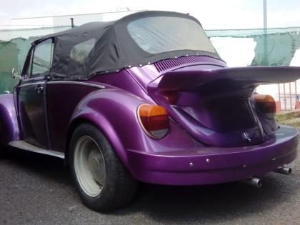 Volkswagen Brouk Cabrio (1969) 